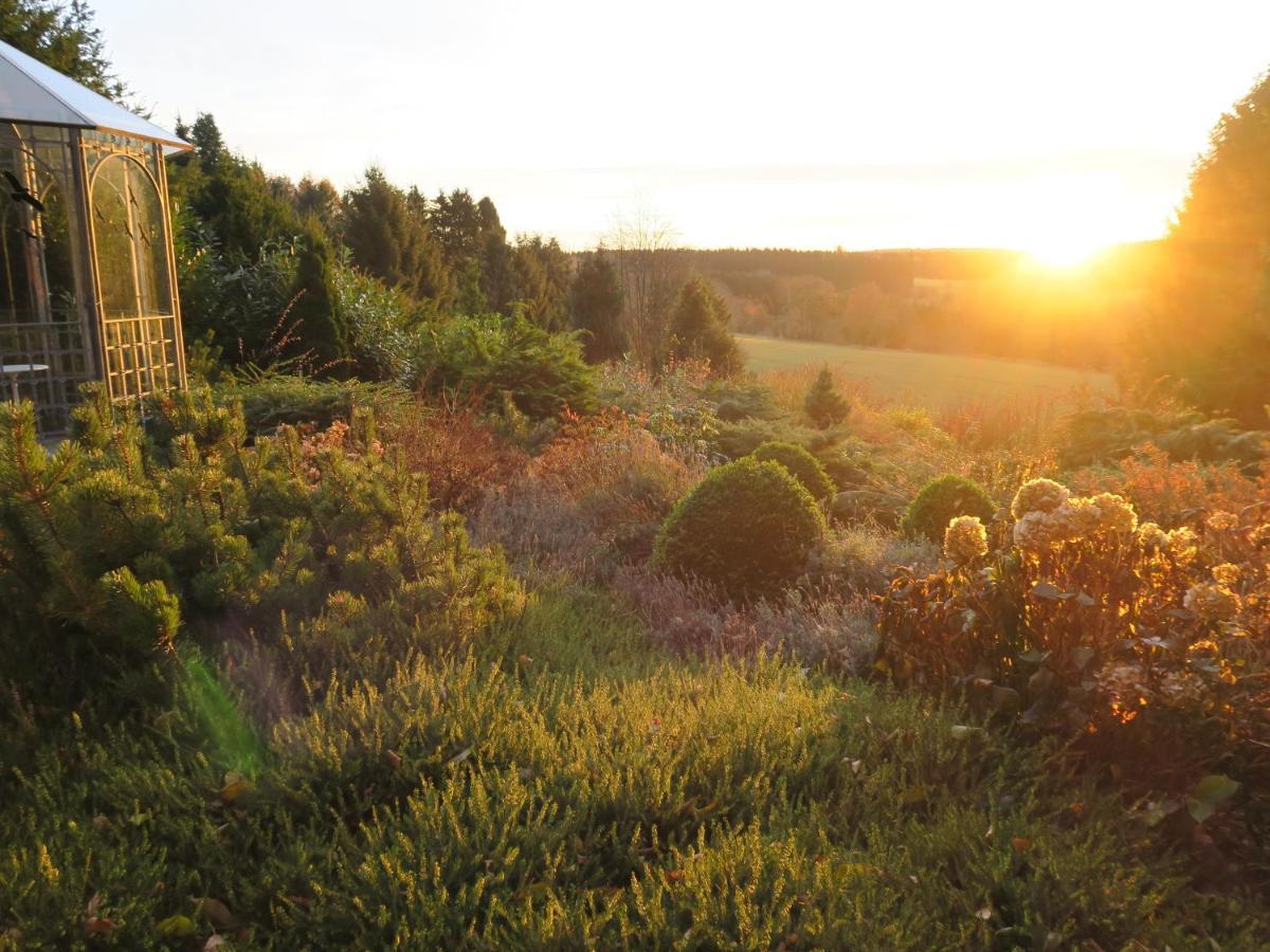 Hohegeiß Ferienhaus Sonne, Harz Und Sterneヴィラ エクステリア 写真