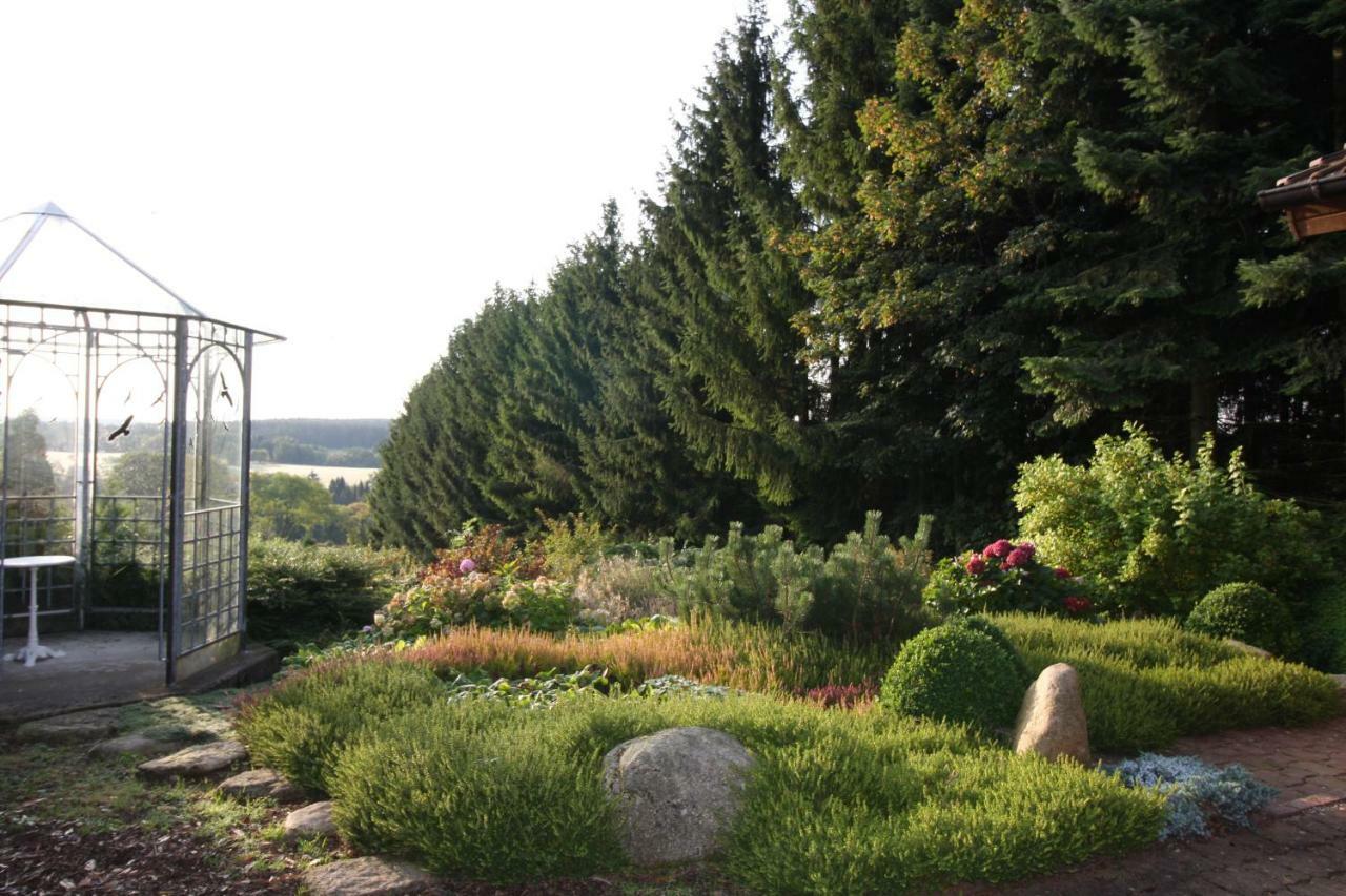 Hohegeiß Ferienhaus Sonne, Harz Und Sterneヴィラ エクステリア 写真