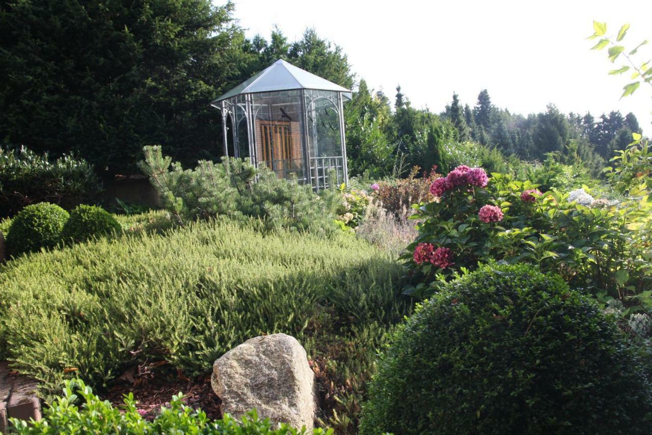 Hohegeiß Ferienhaus Sonne, Harz Und Sterneヴィラ エクステリア 写真