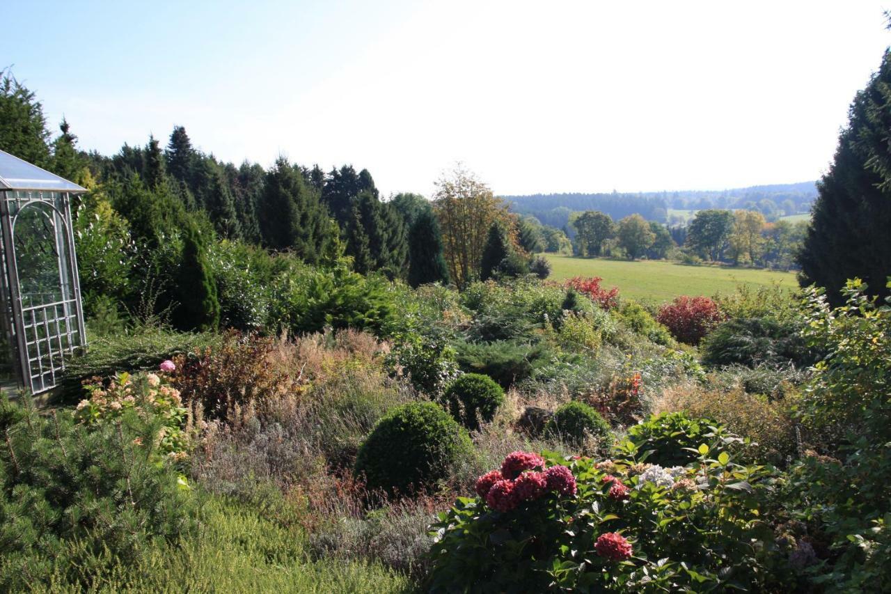 Hohegeiß Ferienhaus Sonne, Harz Und Sterneヴィラ エクステリア 写真