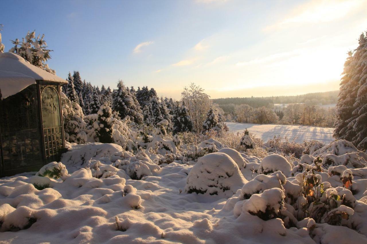 Hohegeiß Ferienhaus Sonne, Harz Und Sterneヴィラ エクステリア 写真